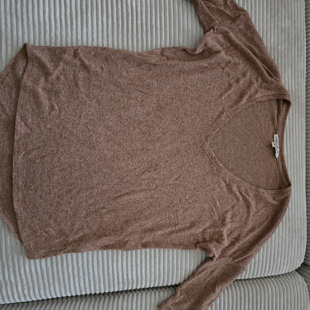 Express Women's V-Neck Sweater in Warm Brown